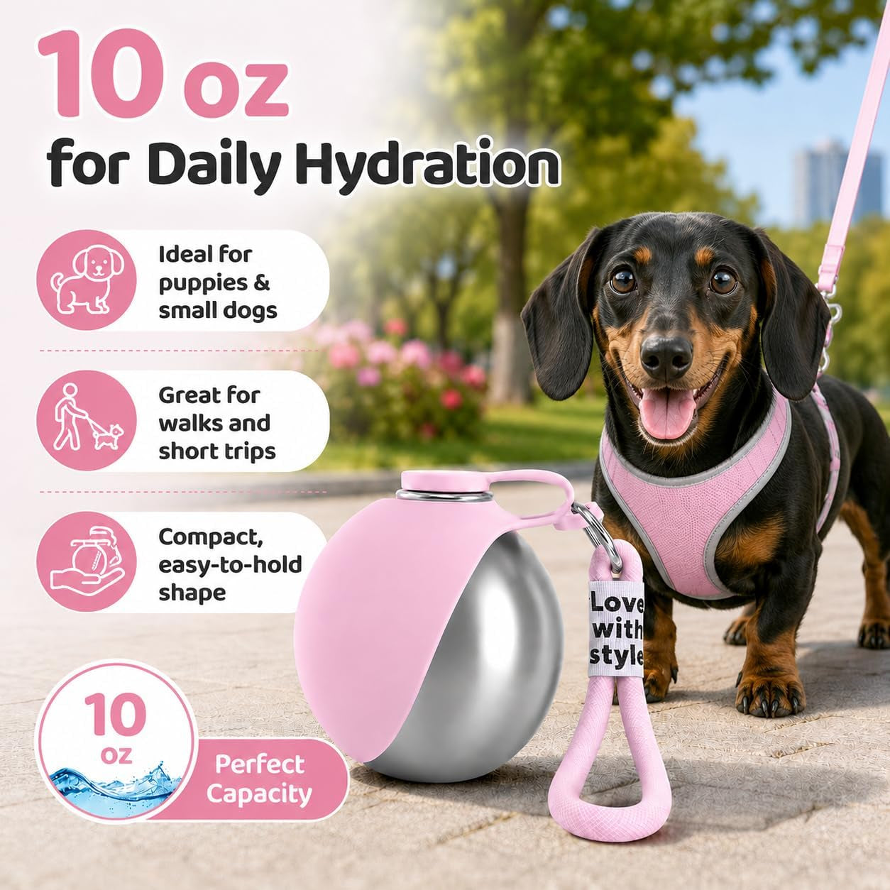 Portable Pet Dog Water Bottle with Silicone Collapsible Bowl, 10 Oz Pink | Stainless Steel Pet Travel Dispenser with Rope | Dogs on Walks Hiking Accessories | Puppy Small Pets Essentials