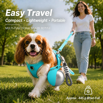 Portable Pet Dog Water Bottle with Silicone Collapsible Bowl, 10 Oz Blue | Stainless Steel Pet Travel Dispenser with Rope | Dogs on Walks Hiking Accessories | Puppy Small Pets Essentials