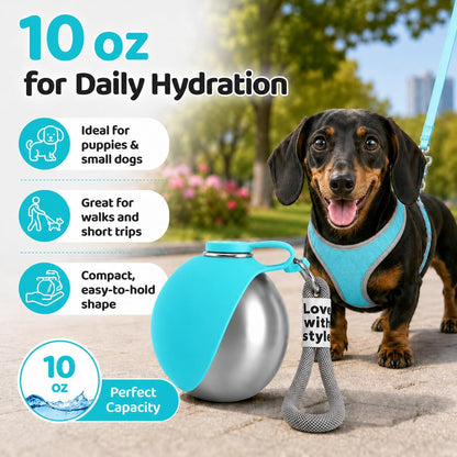 Portable Pet Dog Water Bottle with Silicone Collapsible Bowl, 10 Oz Blue | Stainless Steel Pet Travel Dispenser with Rope | Dogs on Walks Hiking Accessories | Puppy Small Pets Essentials